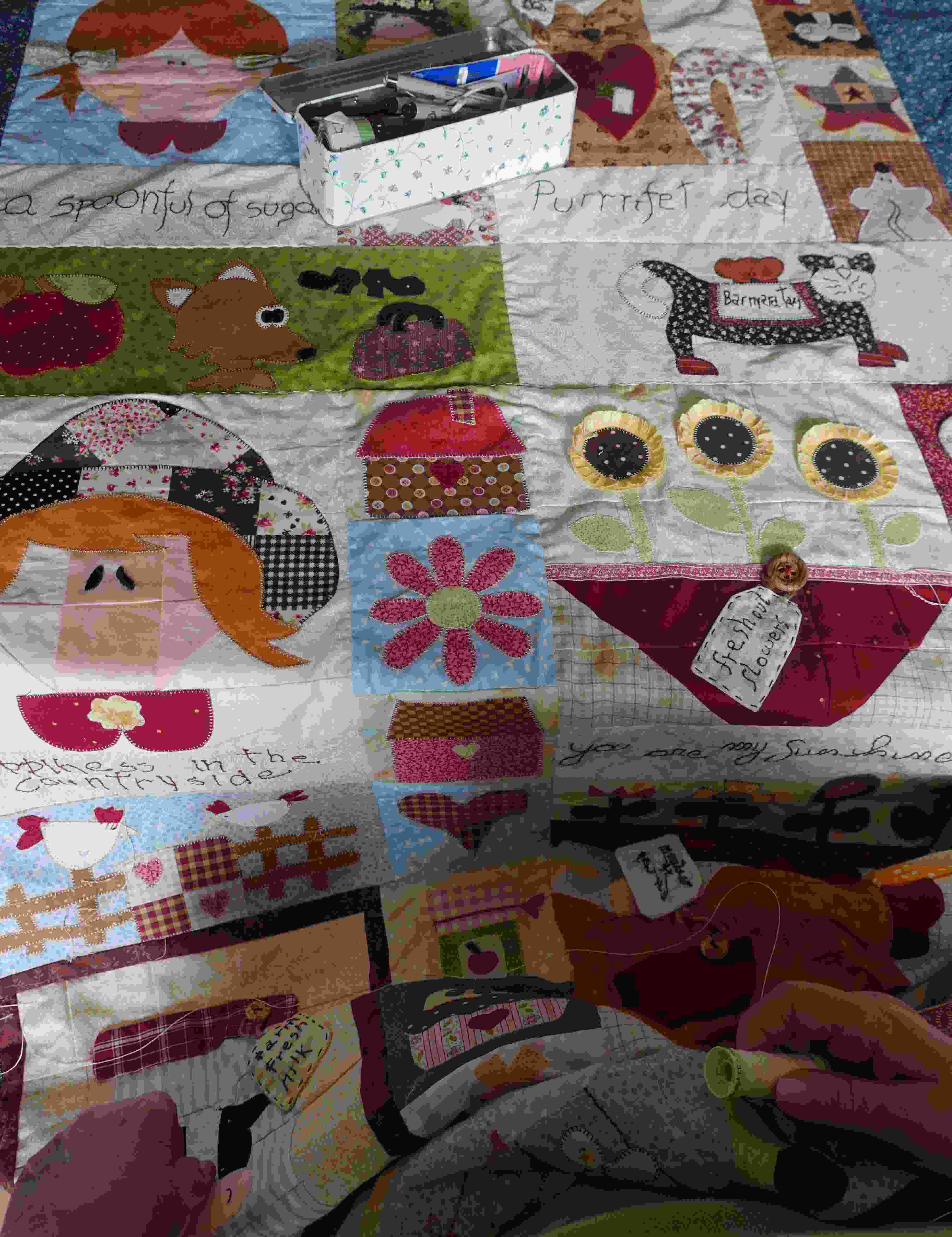 coperta-country-16