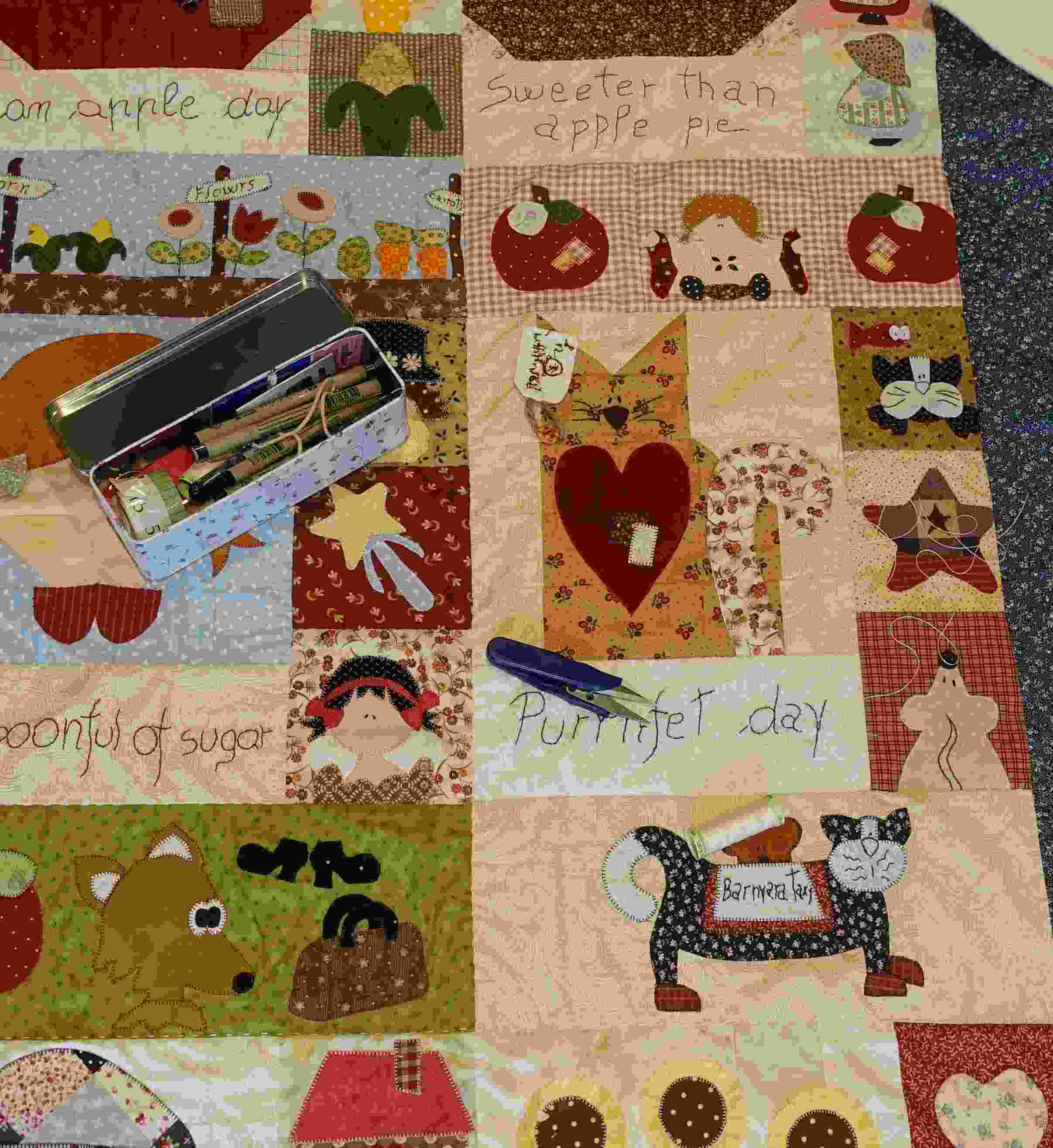 coperta-country-14
