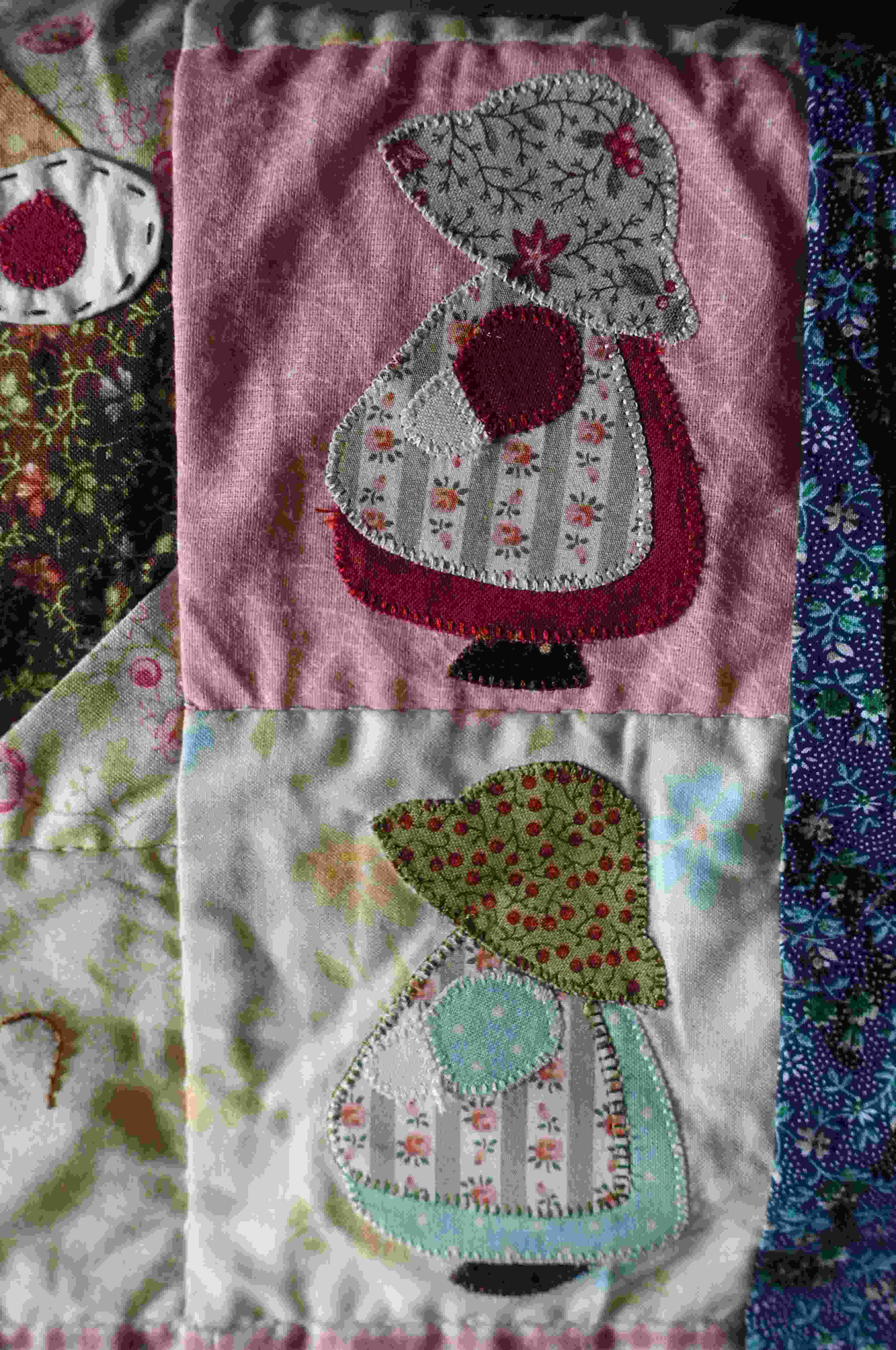 coperta-country-15