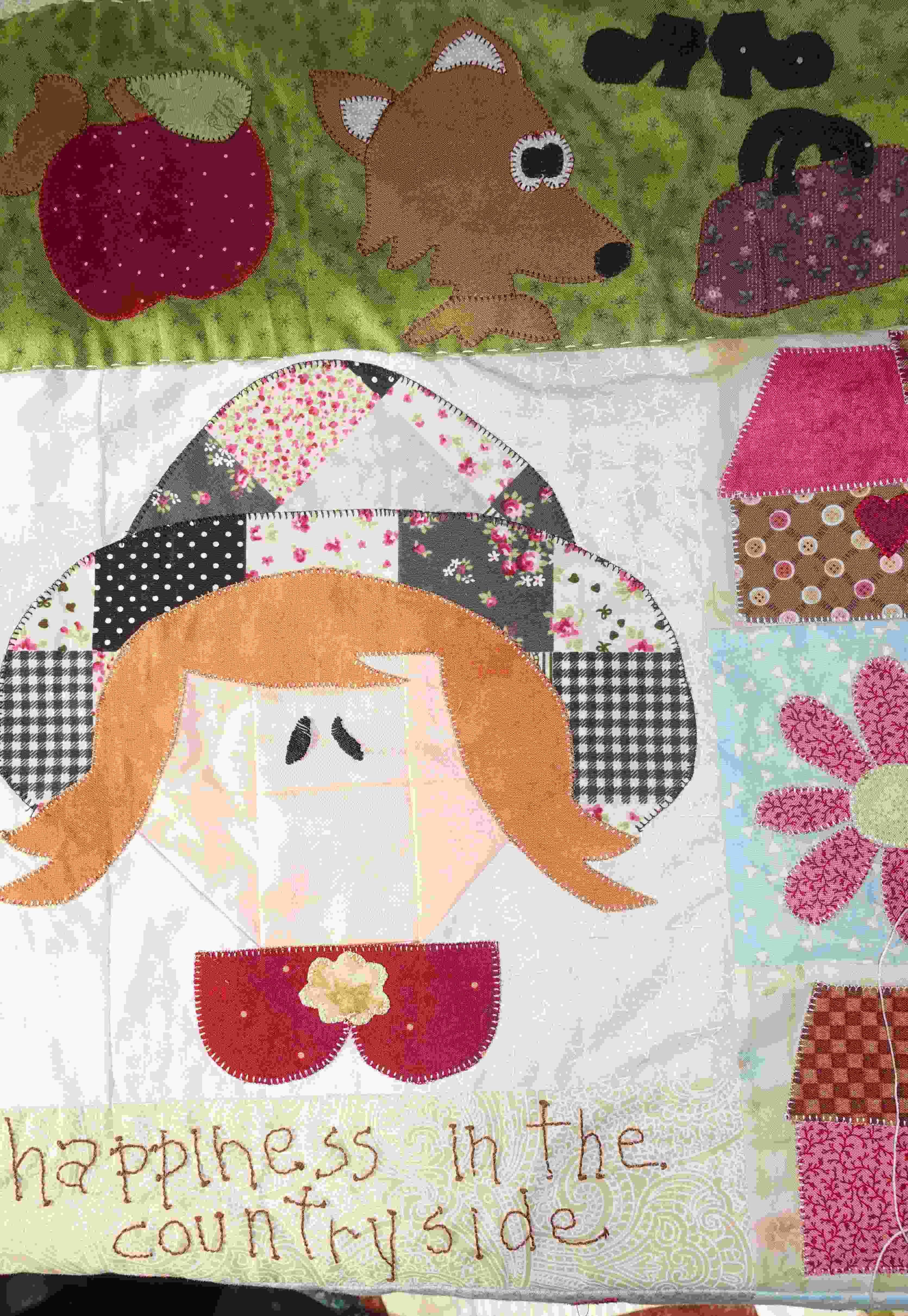 coperta-country-14