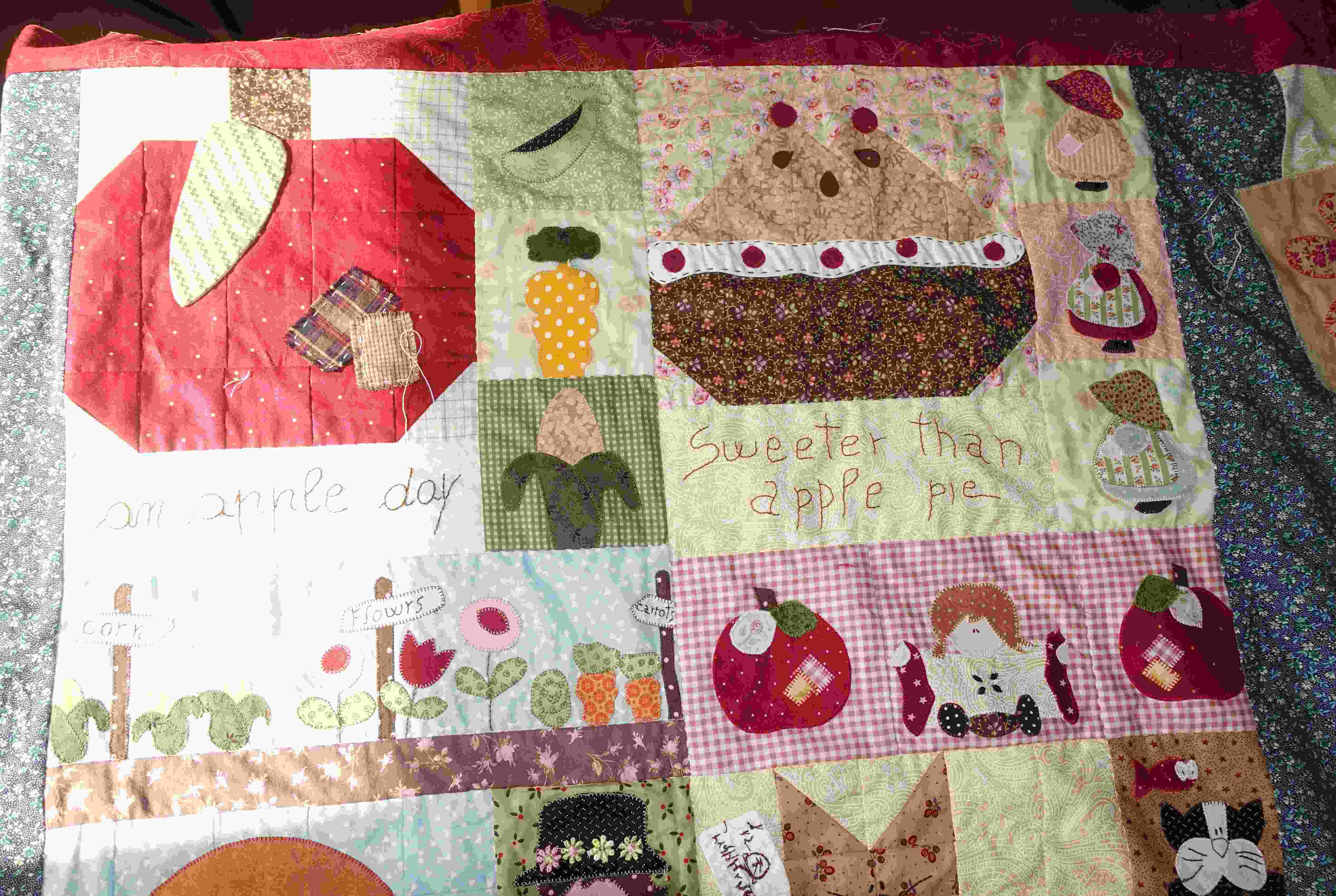 coperta-country-13