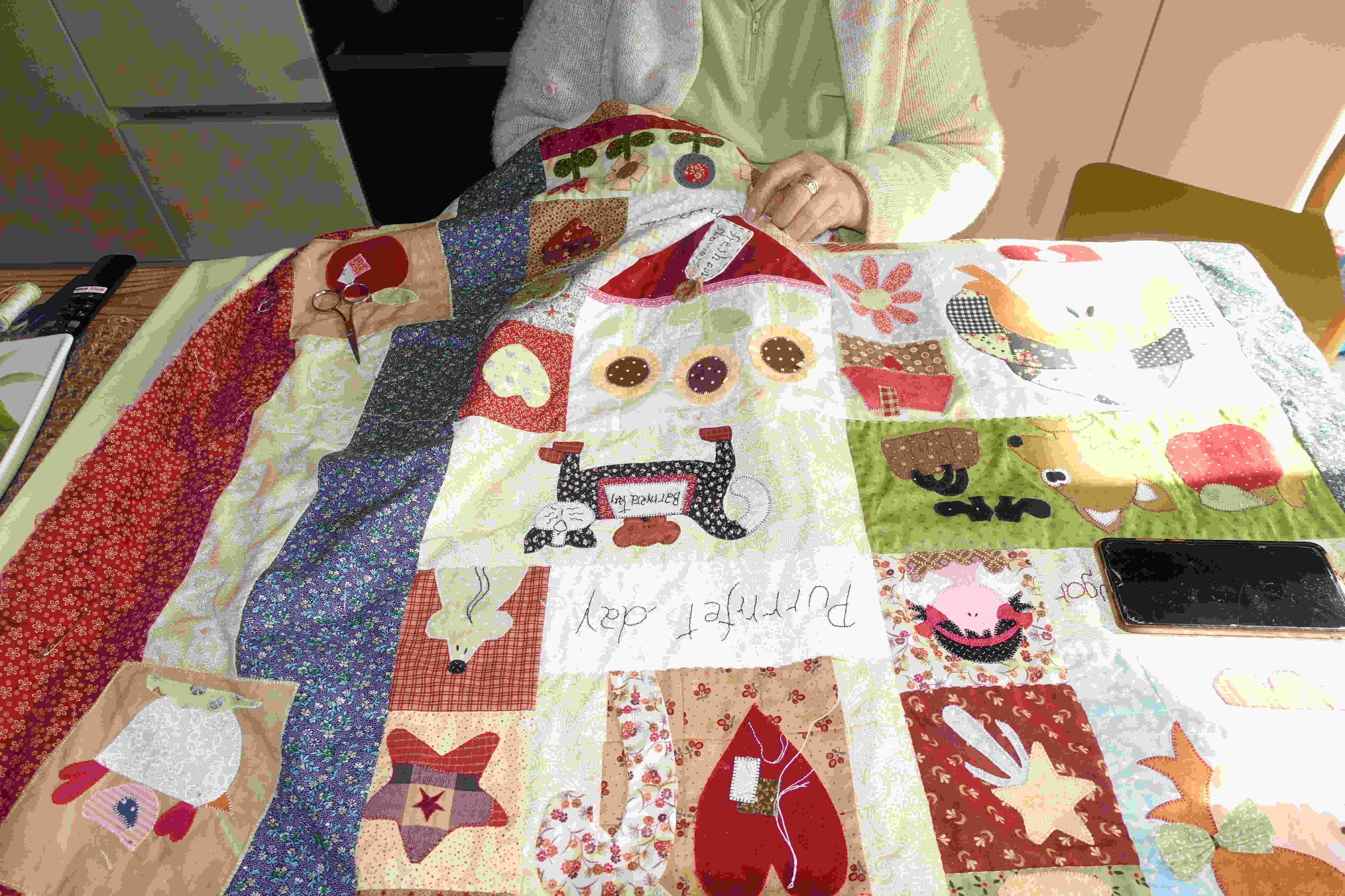 coperta-country-12