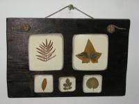 quadro con in legno con foglie